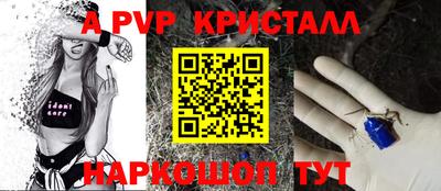 ECSTASY Гагарин