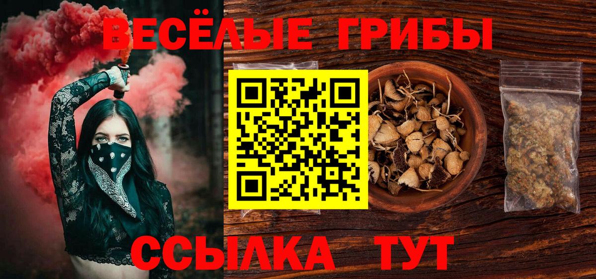 наркота  Галлюциногенные грибы Psilocybine cubensis  Вход с VPN  Дивногорск 