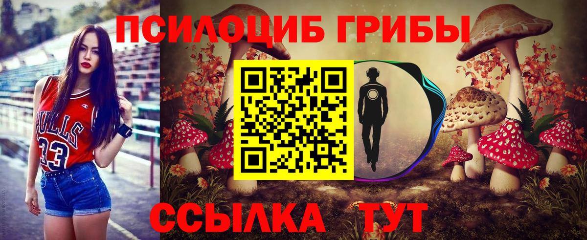 Псилоцибиновые грибы ЛСД Дивногорск